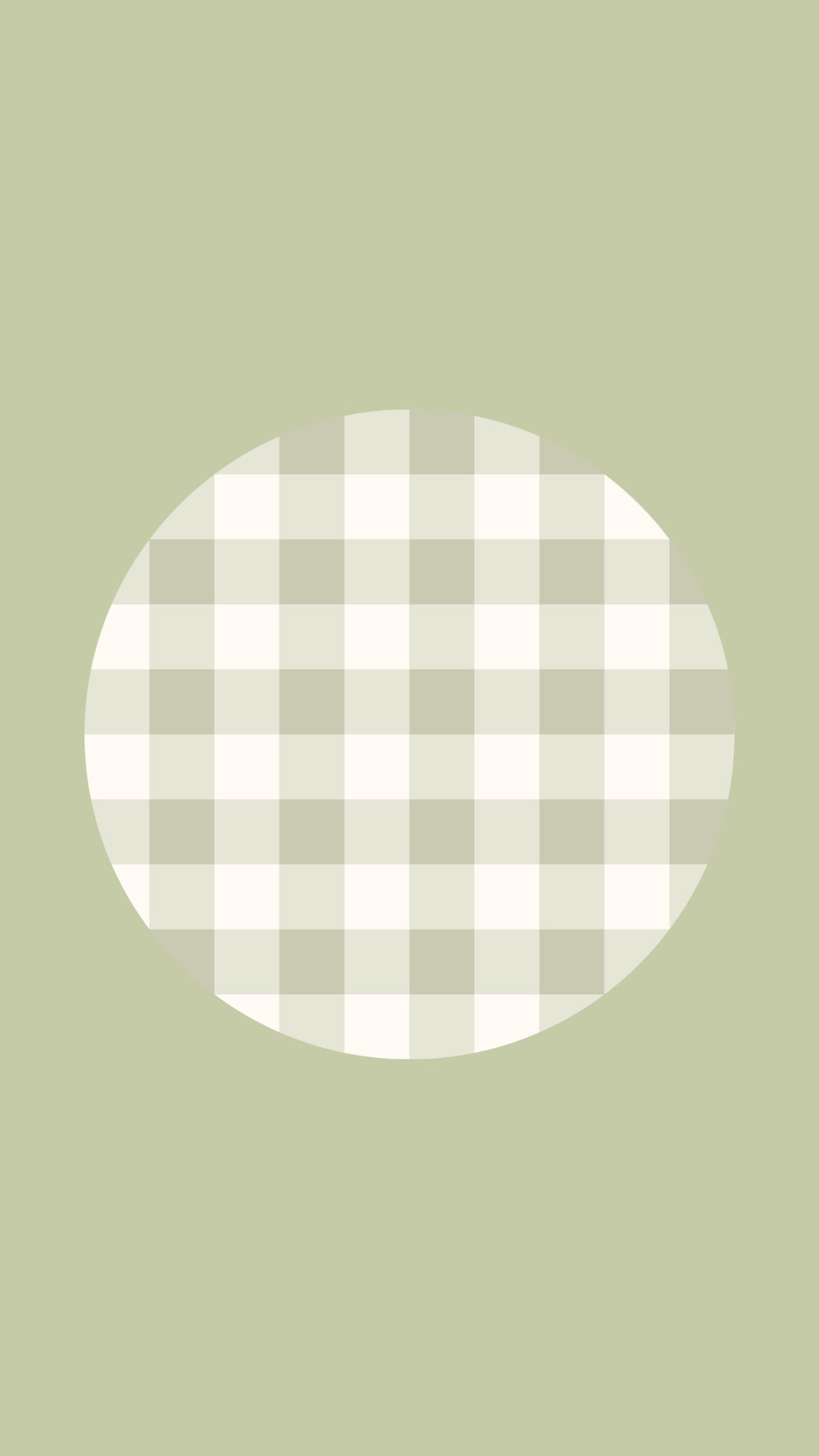 Sage Green Gingham - Bamboo Zipper Onesies